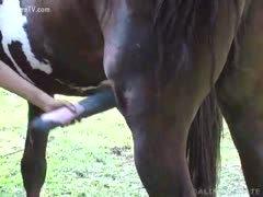 Without horse schlong, a woman could not survive.
